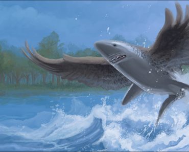 Illustration of a shark with very large side fins flying above the ocean.