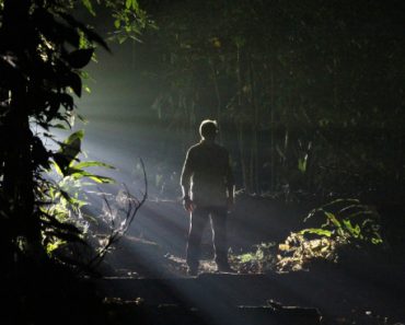 A man stands in the jungle night. Moonlight illuminates his silhouette