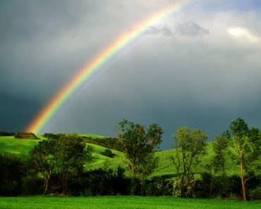 A beautiful rainbow spans a jungle landscape.