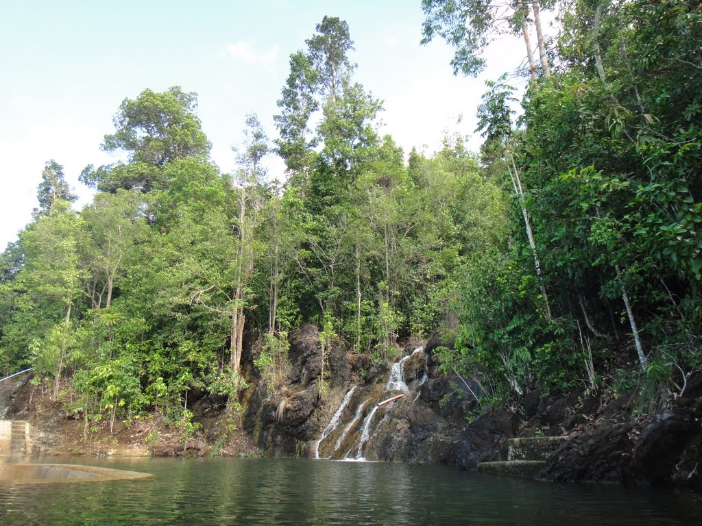 A pool of water sits at the bottom of very small water falls. It is surrounded by trees.