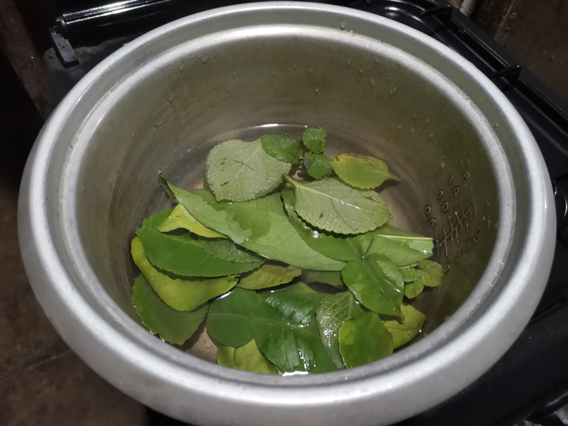 leaves in a pot of water